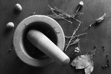 Leaves, twigs, and nuts near a mortar and pestle