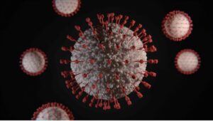 The coronavirus